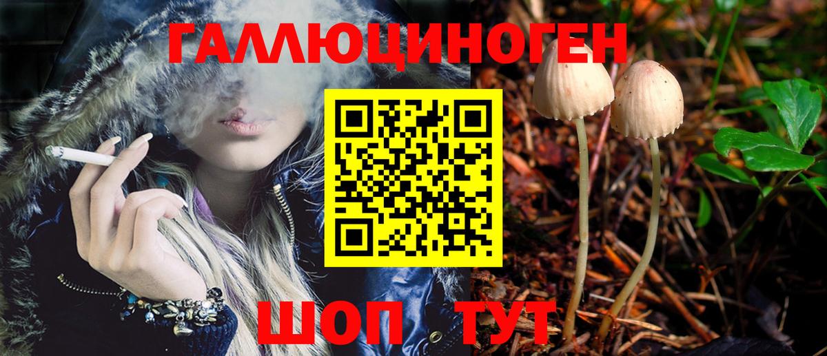 Псилоцибиновые грибы GOLDEN TEACHER  Вход с VPN  Сланцы 
