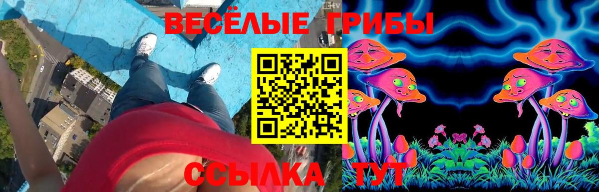 Галлюциногенные грибы Psilocybe Сланцы